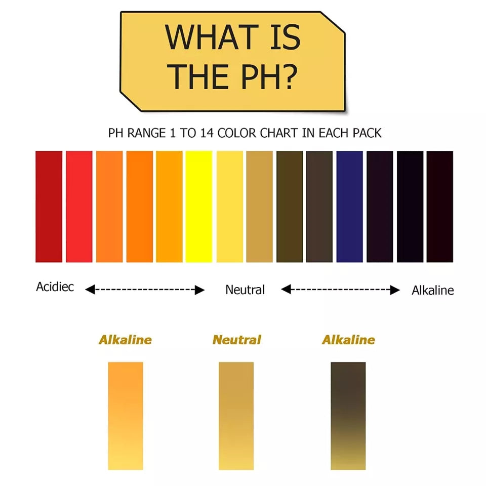 pH Meter For Test / Tester